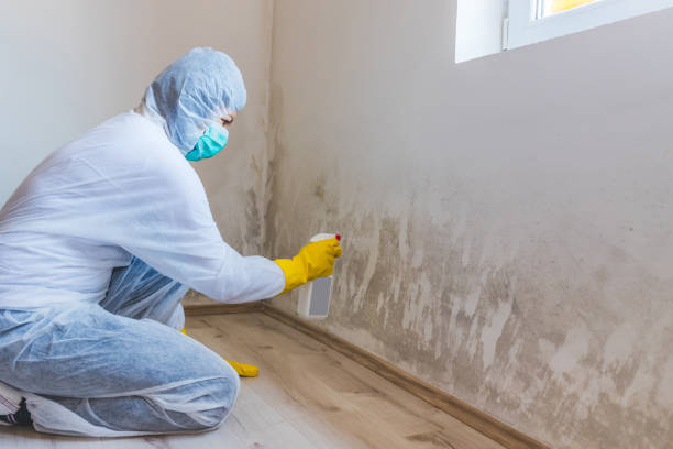 Commercial Mold Remediation assessment for commercial property in Baldwin